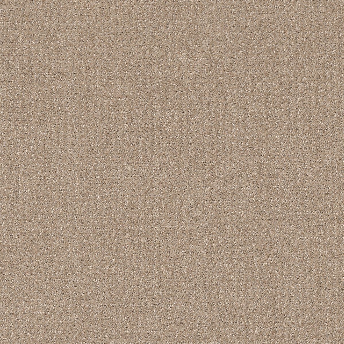 Shaw Floors Translate Fresh Baked flooring