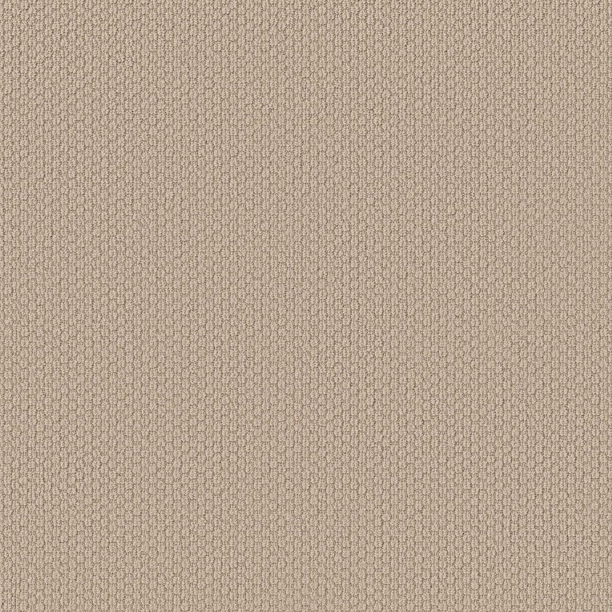 Shaw Floors Cathedral Hill II Brushed Ivory flooring