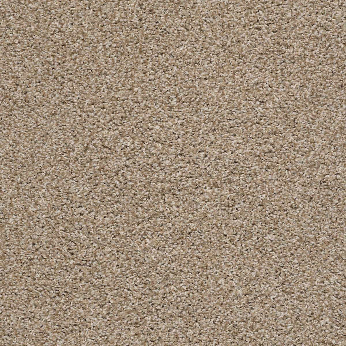 Shaw Floors Poised Artisan flooring