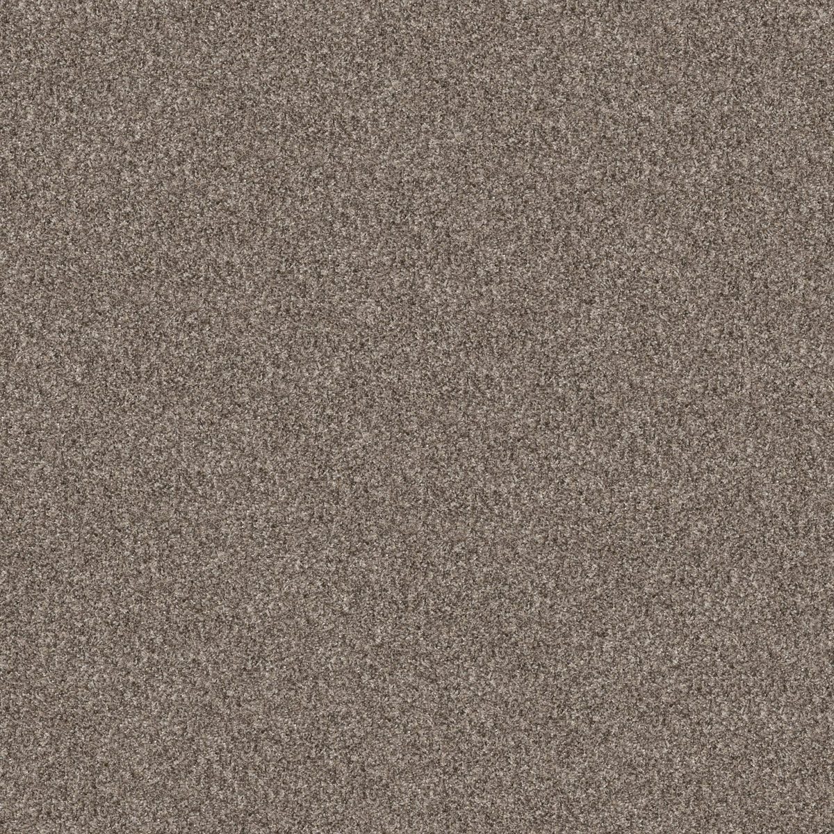 Shaw Floors Yes You Can II 12' Soft Sense flooring
