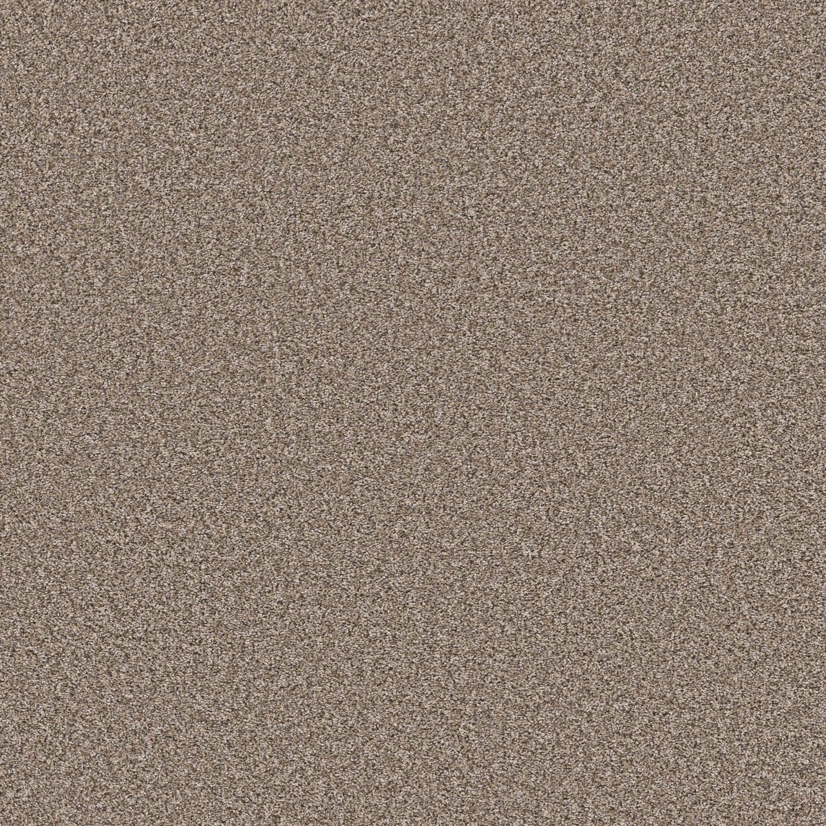 Shaw Floors Soft Radiance Folklore flooring