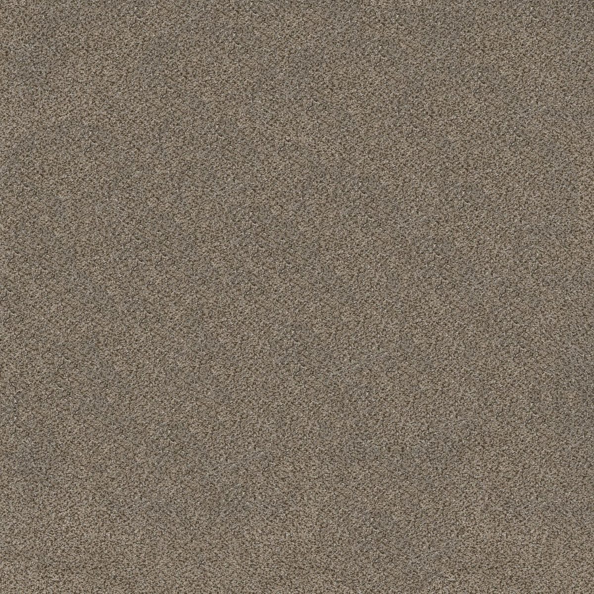 Shaw Floors TruSplendor Truffle flooring