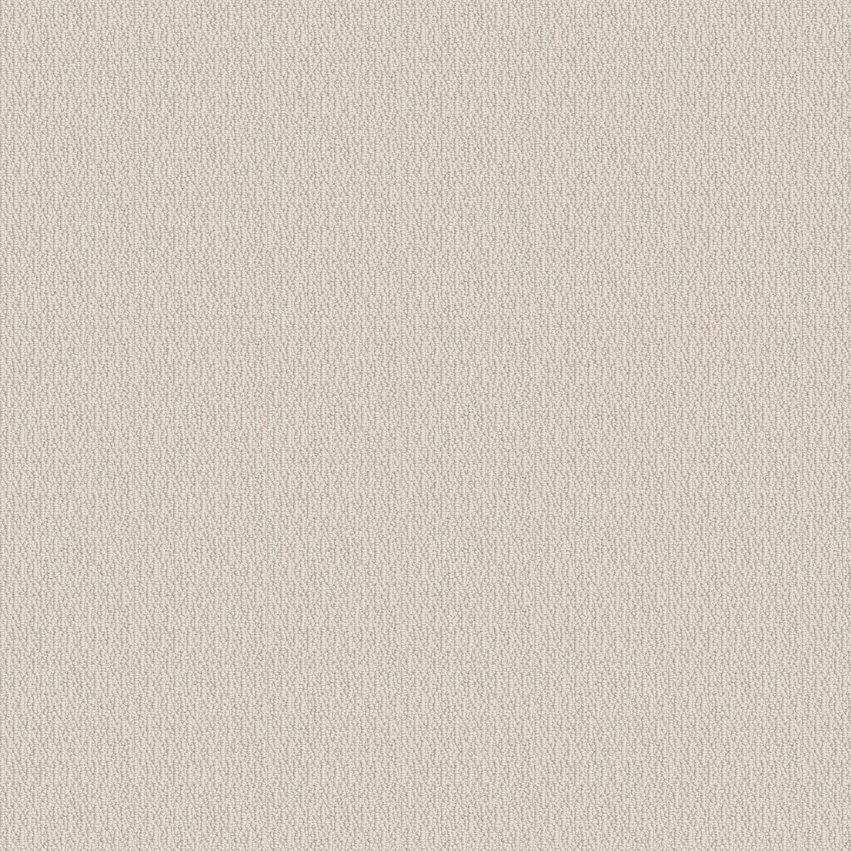 Shaw Floors Loop de Loop Canvas flooring