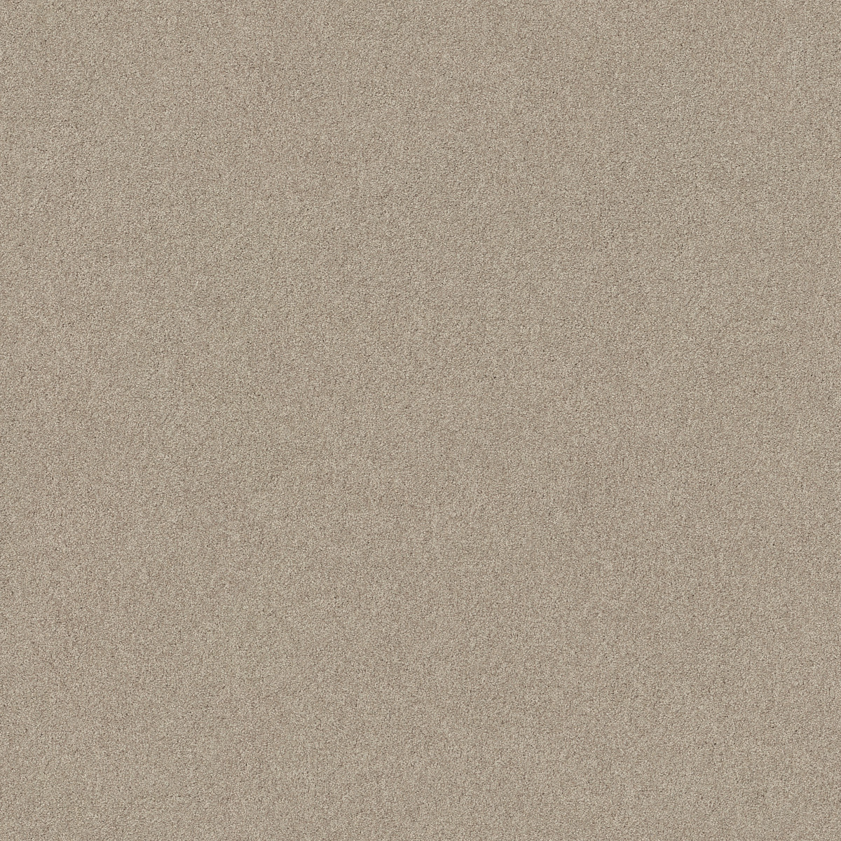 Shaw Floors Your Comfort I My Haven flooring