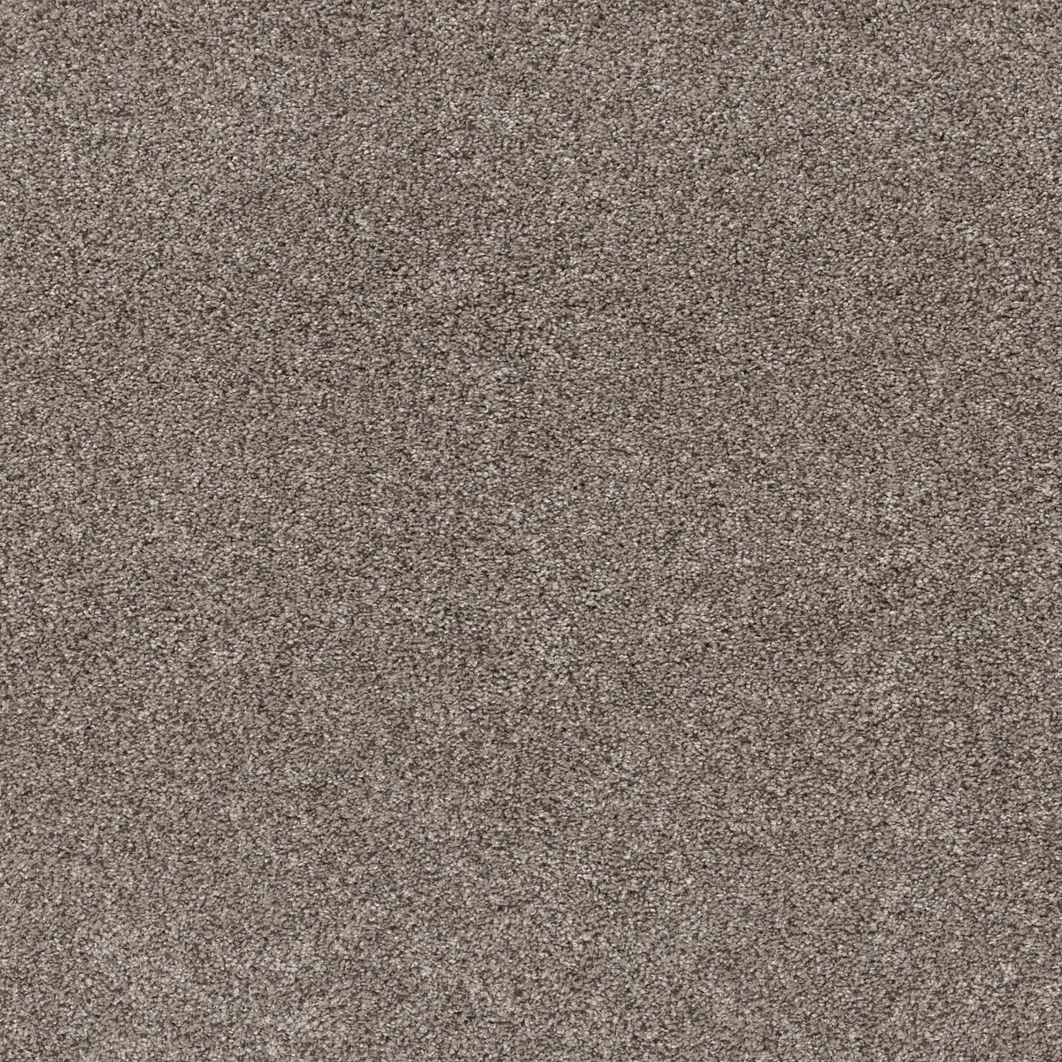 Shaw Floors Yes You Can II 12' Warm Light flooring