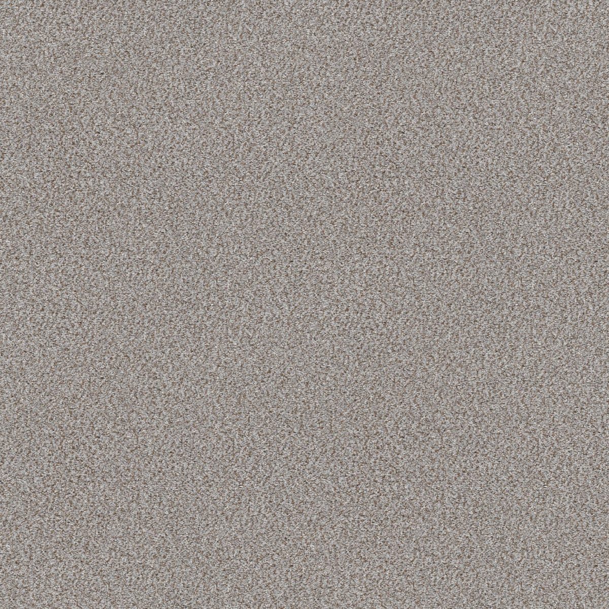 Shaw Floors Cabana Life (B) Winter flooring