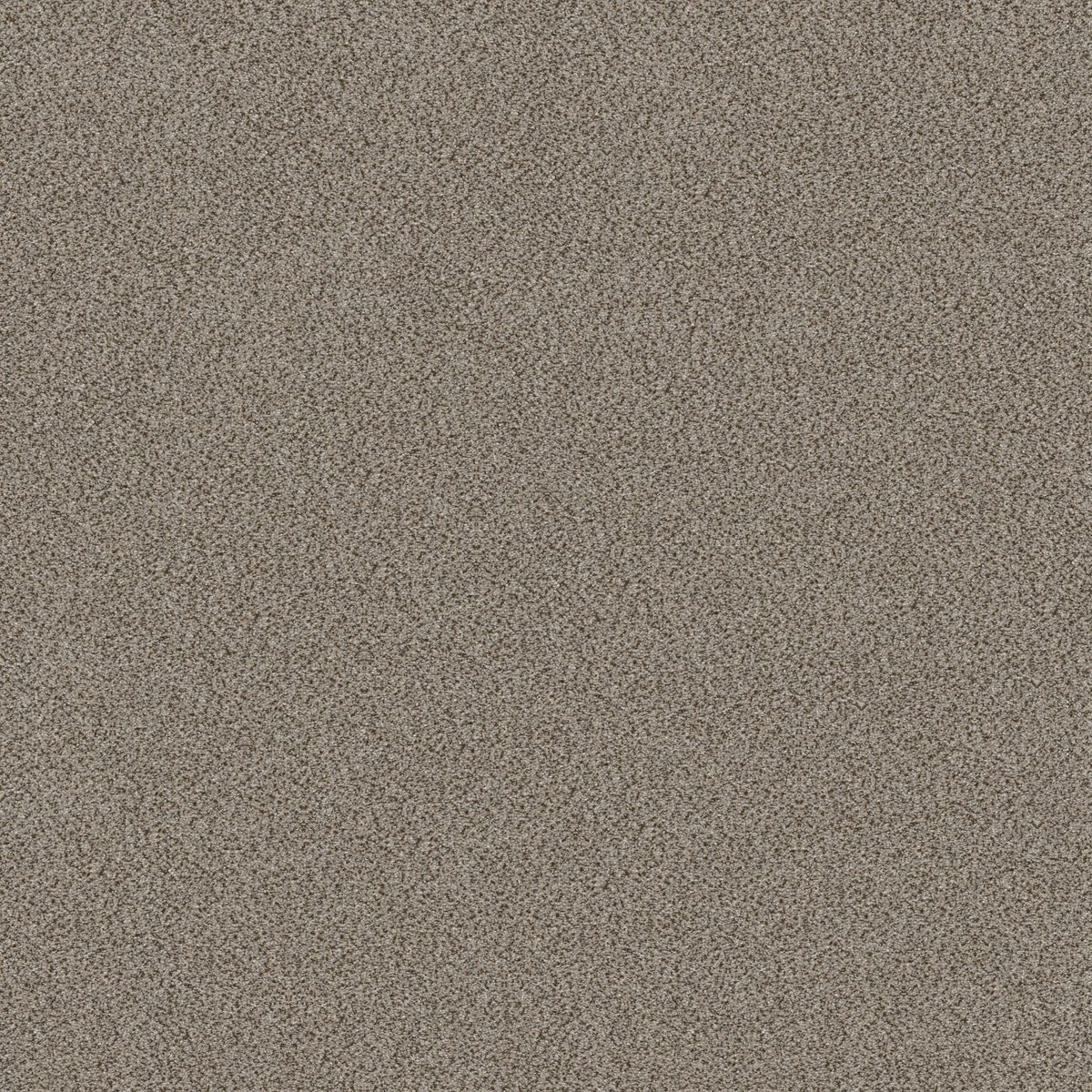 Shaw Floors TruSplendor Iron Works flooring