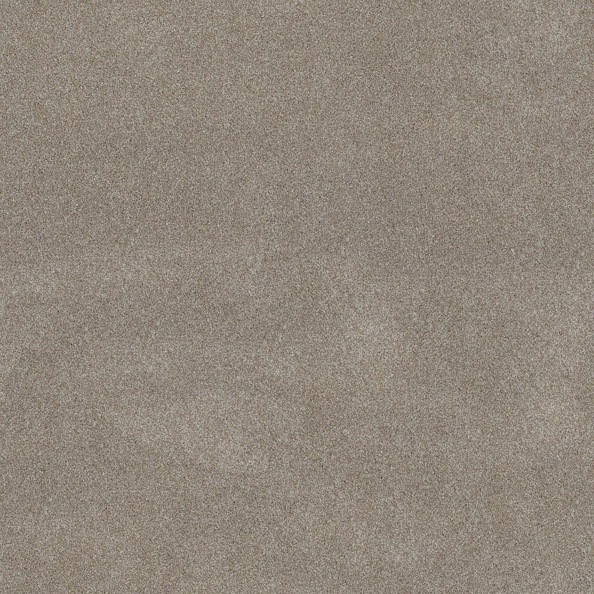 Shaw Floors Good Move II Winter Dunes flooring