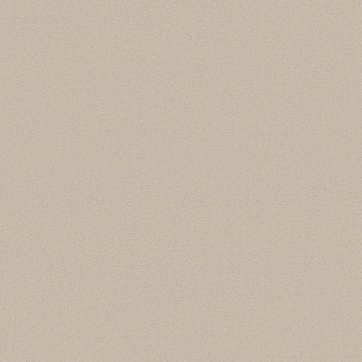 Shaw Floors Las Cruces Fresh Perspective flooring