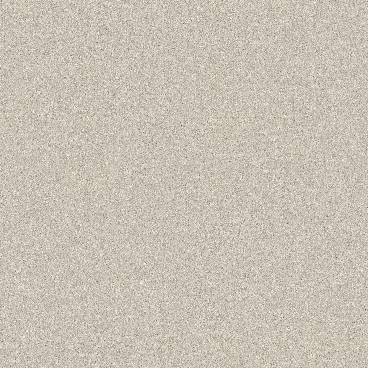 Shaw Floors Your Comfort I Champagne Toast flooring