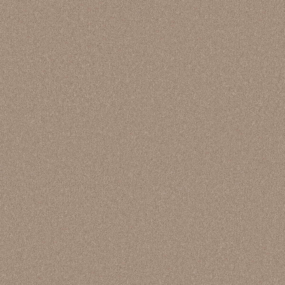 Shaw Floors Your Comfort I Walk On The Beach flooring
