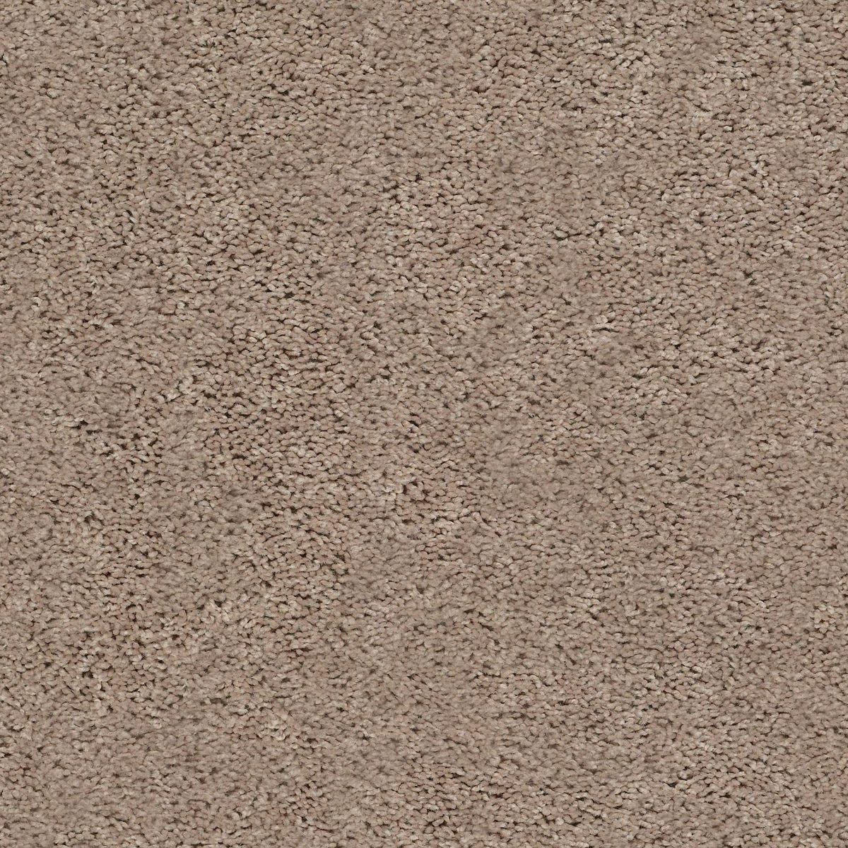 Shaw Floors Break Away (S) Warm Sand flooring