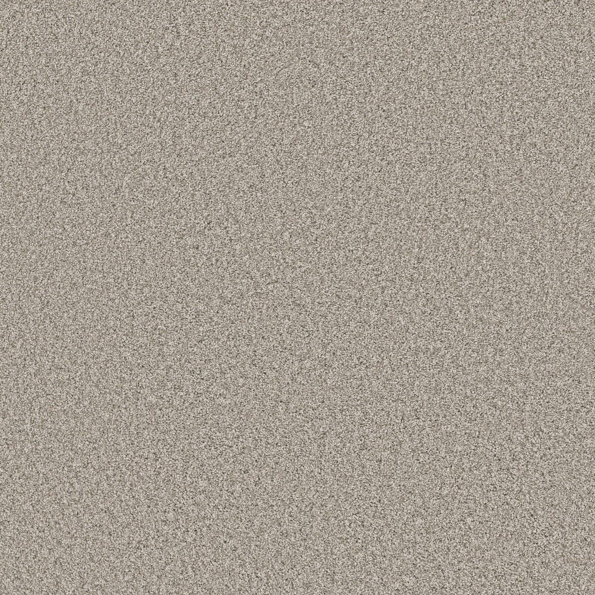Shaw Floors Soft Radiance Dawn Beige flooring
