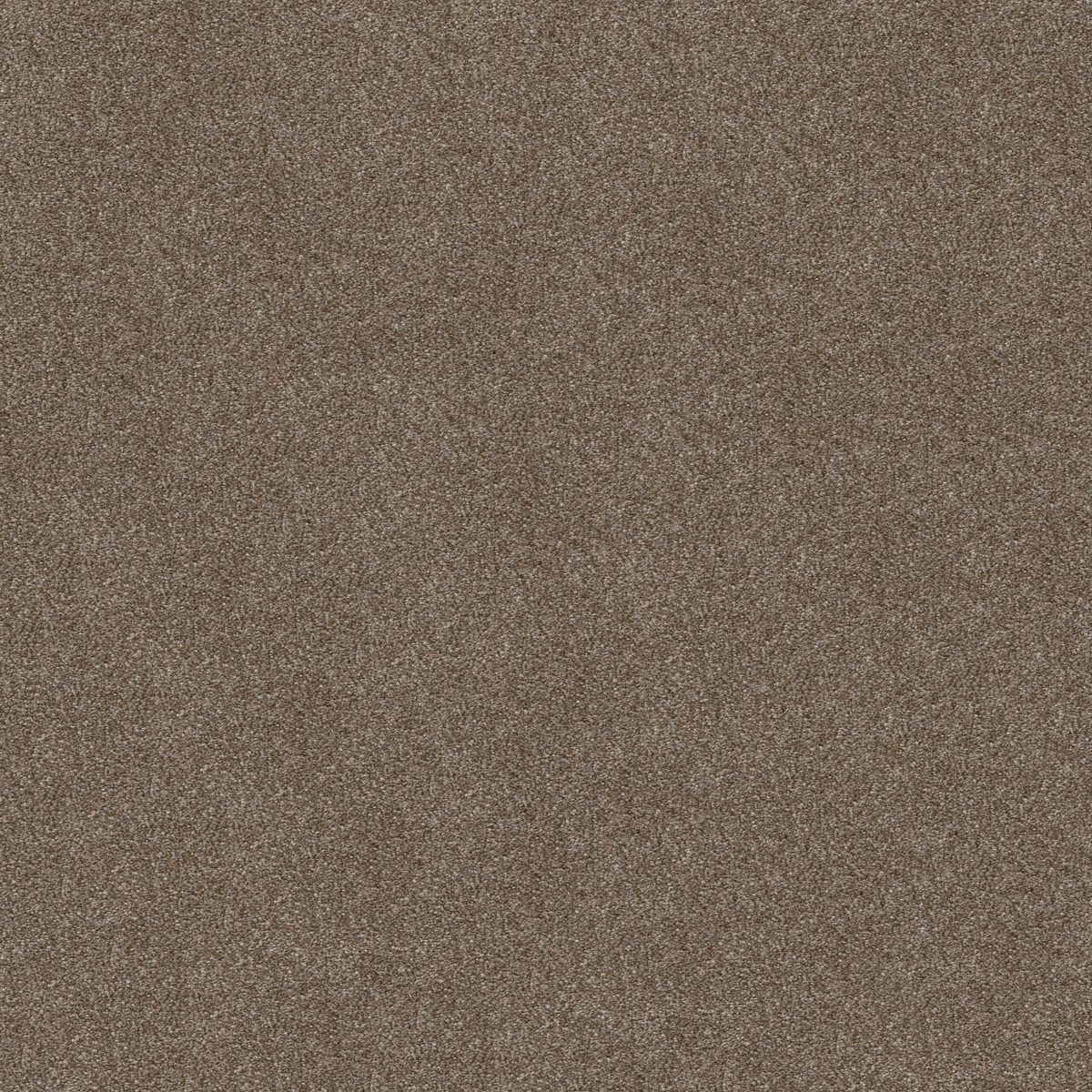 Shaw Floors Attainable (Tonal) Fox Hollow flooring