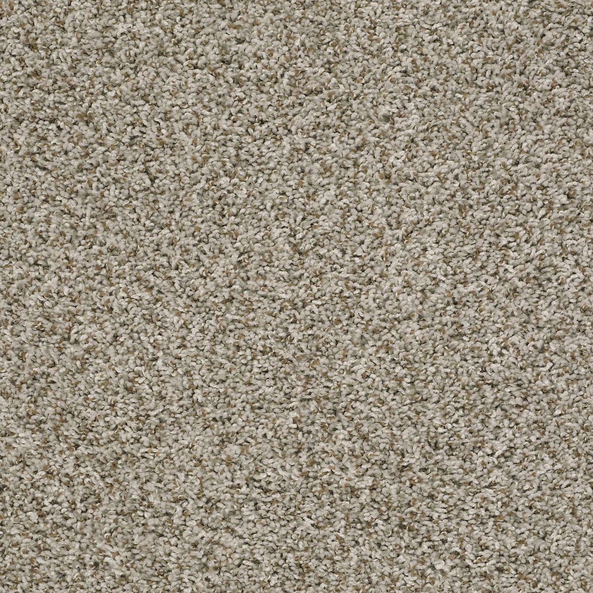 Shaw Floors Break Away (T) Natural Ivory flooring