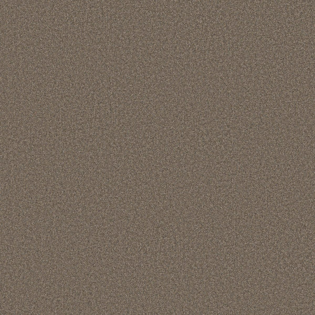 Shaw Floors Wonderland II Smoked Tan flooring