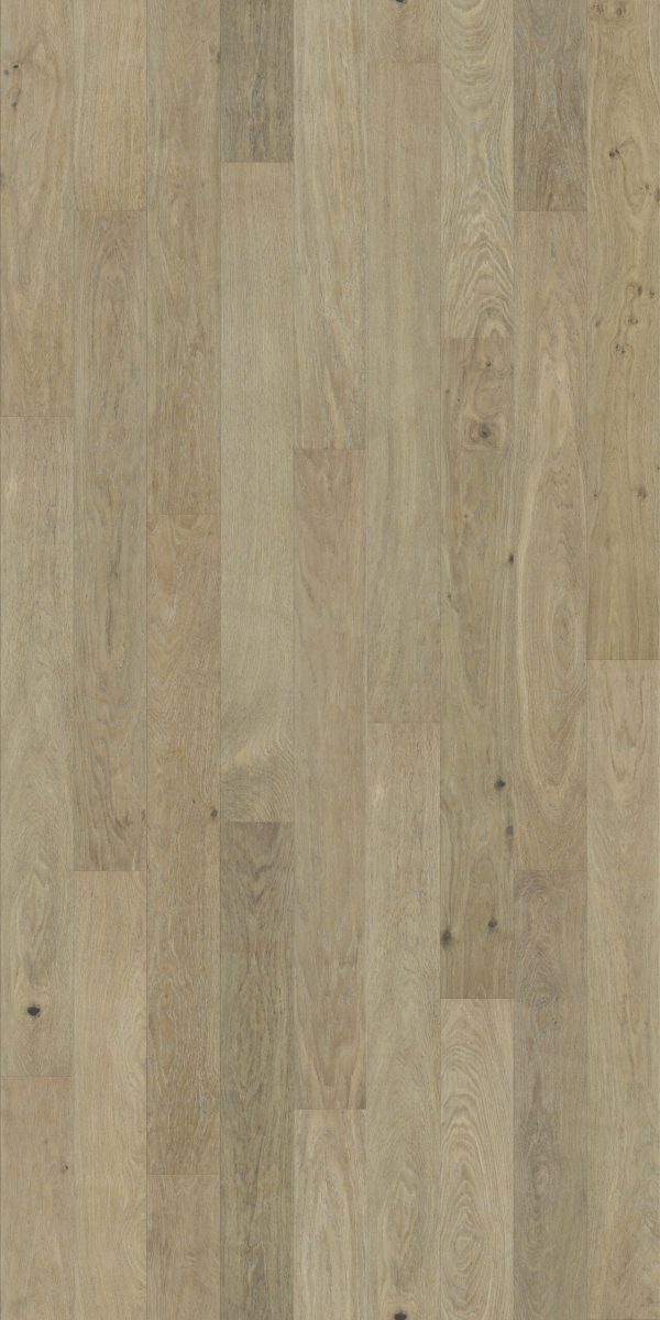 Stonewood Nouvelle — Origin Oak Engineered Hardwood sample