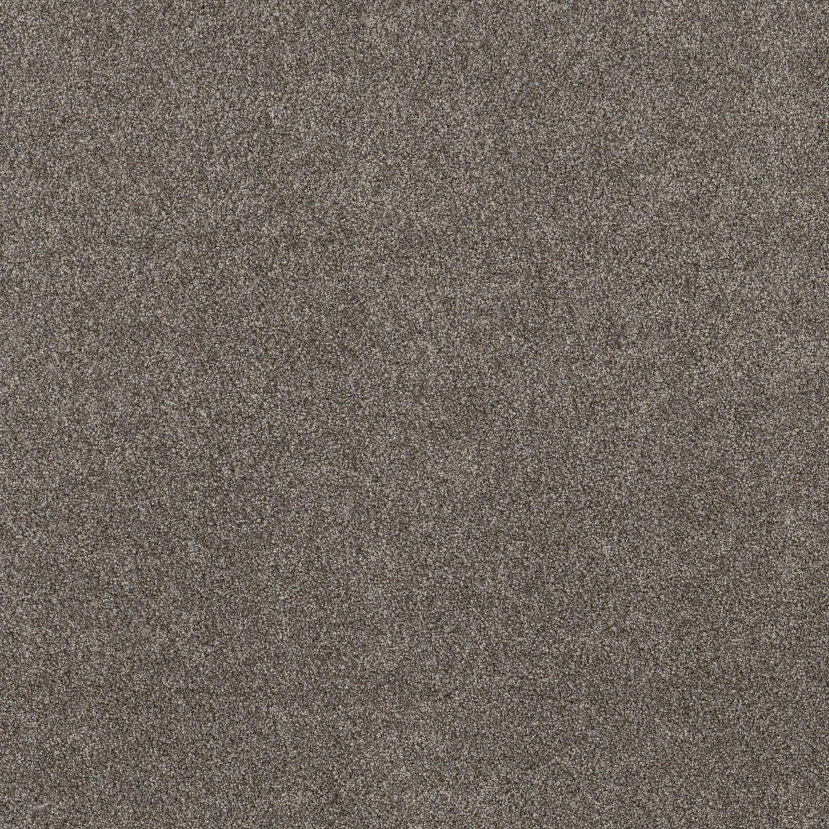 Shaw Floors Right Choice Mega Taupe flooring