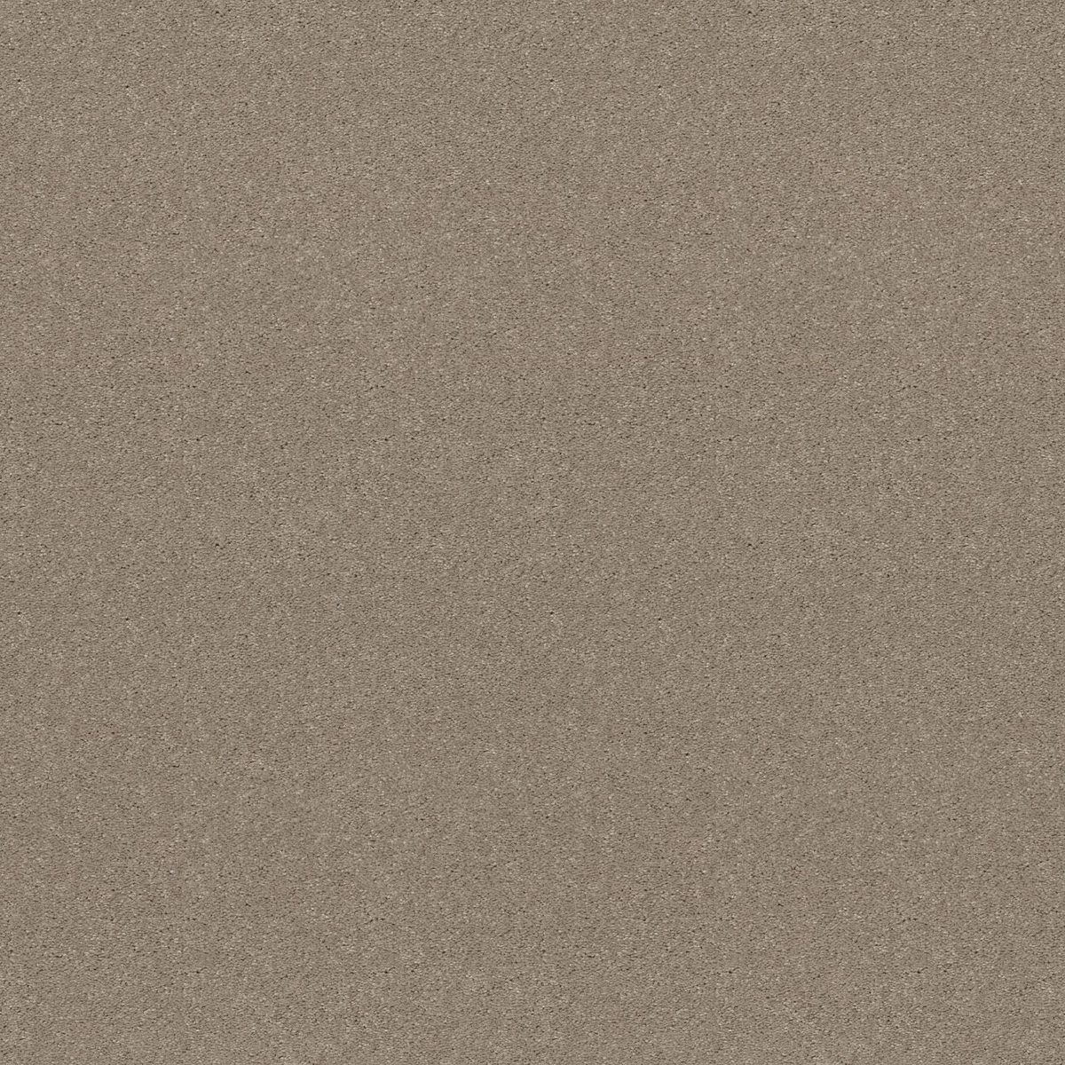 Shaw Floors Attainable (Solid) Pebble Path flooring