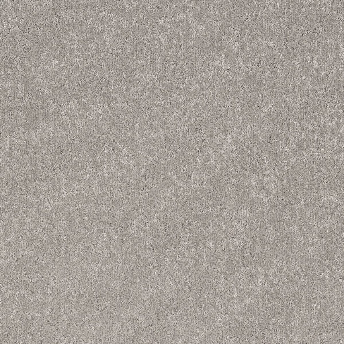 Shaw Floors Clever Blend Gravity flooring