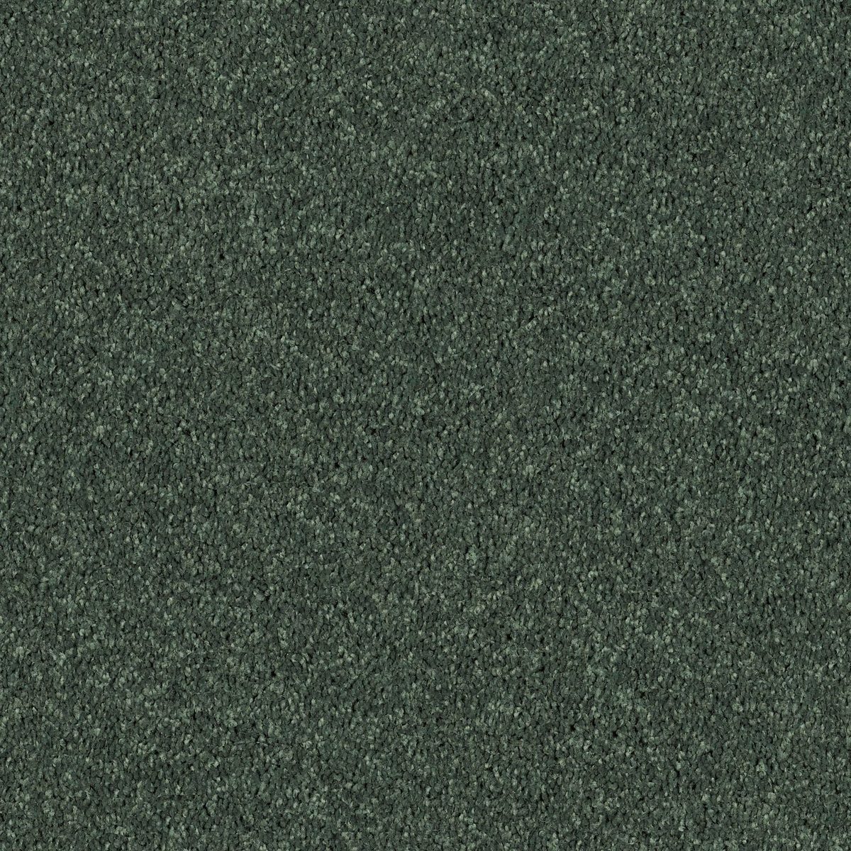 Shaw Floors All Star Weekend II Going Green flooring