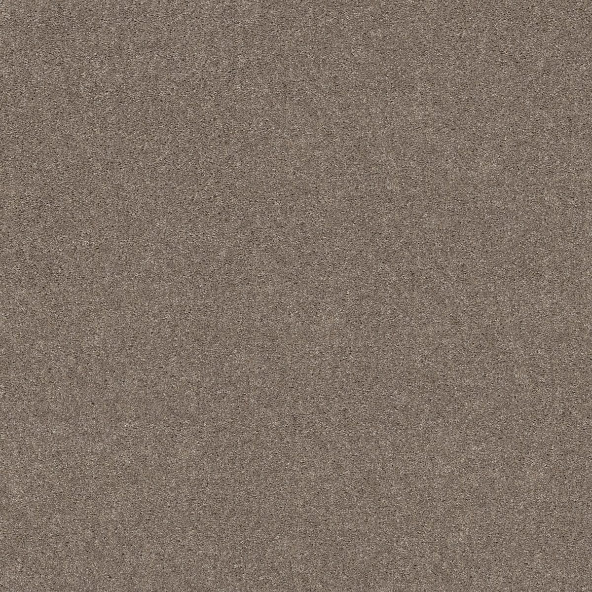Shaw Floors Hot Topic Quiet Tan flooring
