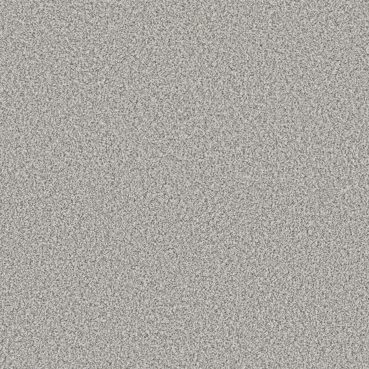 Shaw Floors Yes You Can I 12' Frozen flooring