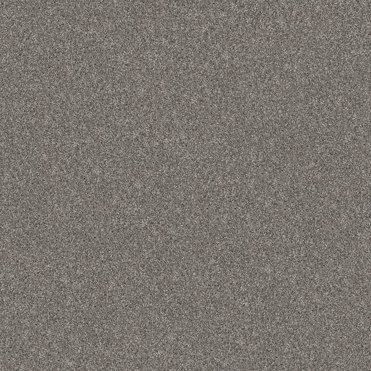 Shaw Floors Yes You Can I 12' Vintage flooring