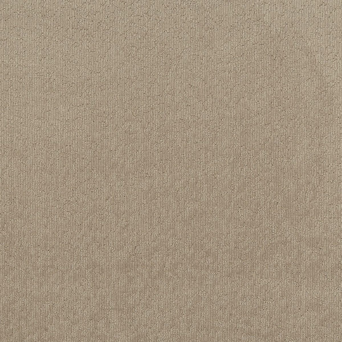 Shaw Floors Clever Blend Cameo flooring