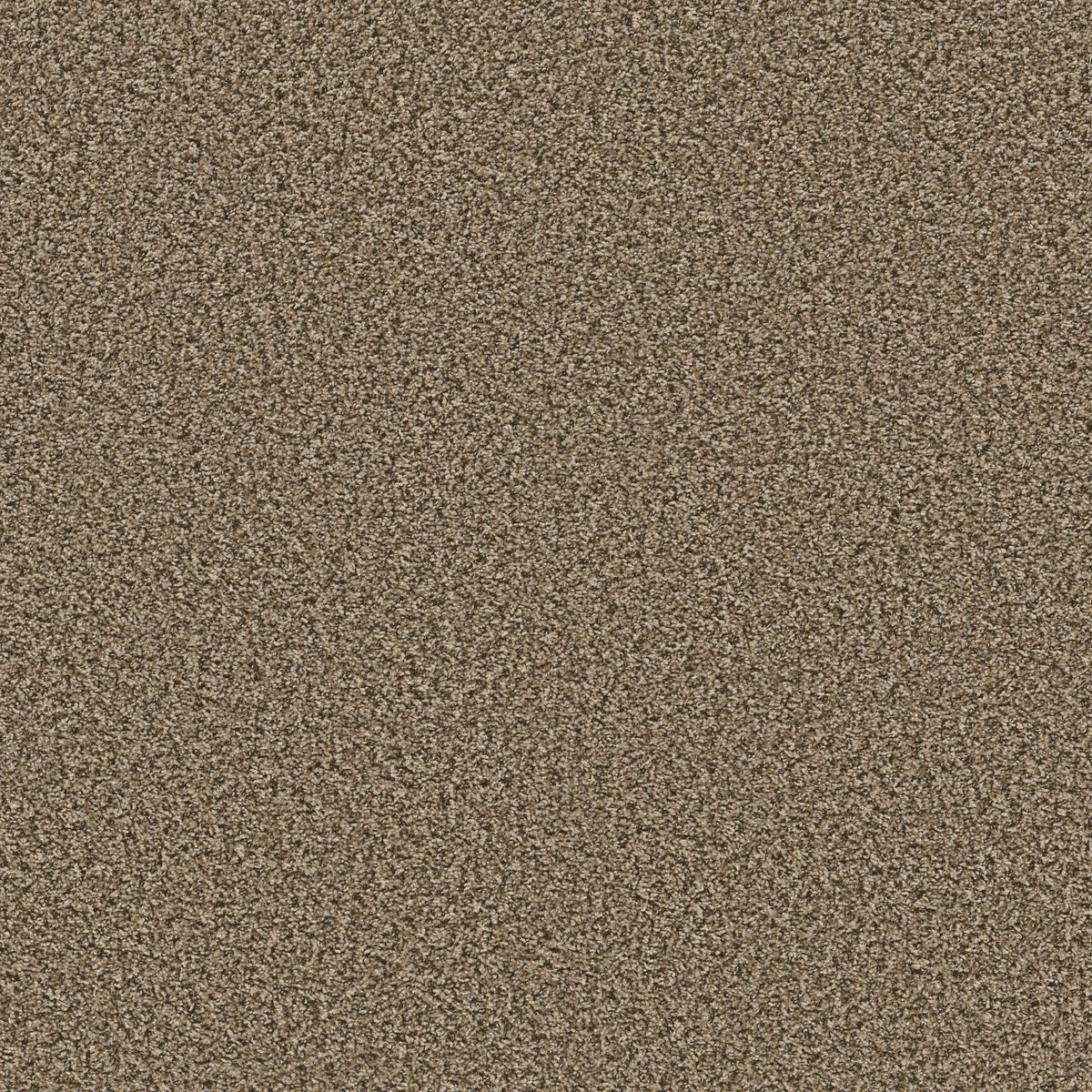 Shaw Floors Break Away (B) Safari flooring