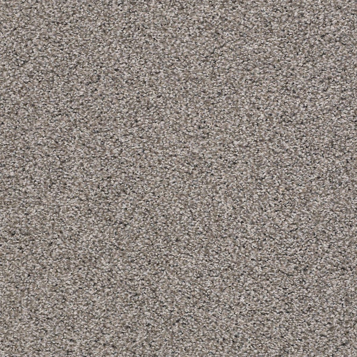Shaw Floors Poised Flannel Gray flooring