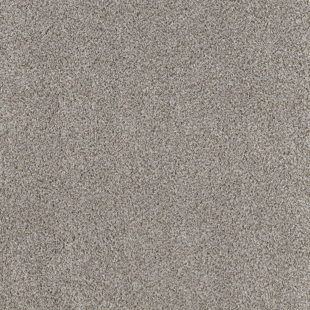 Shaw Floors Break Away (T) Windy City flooring