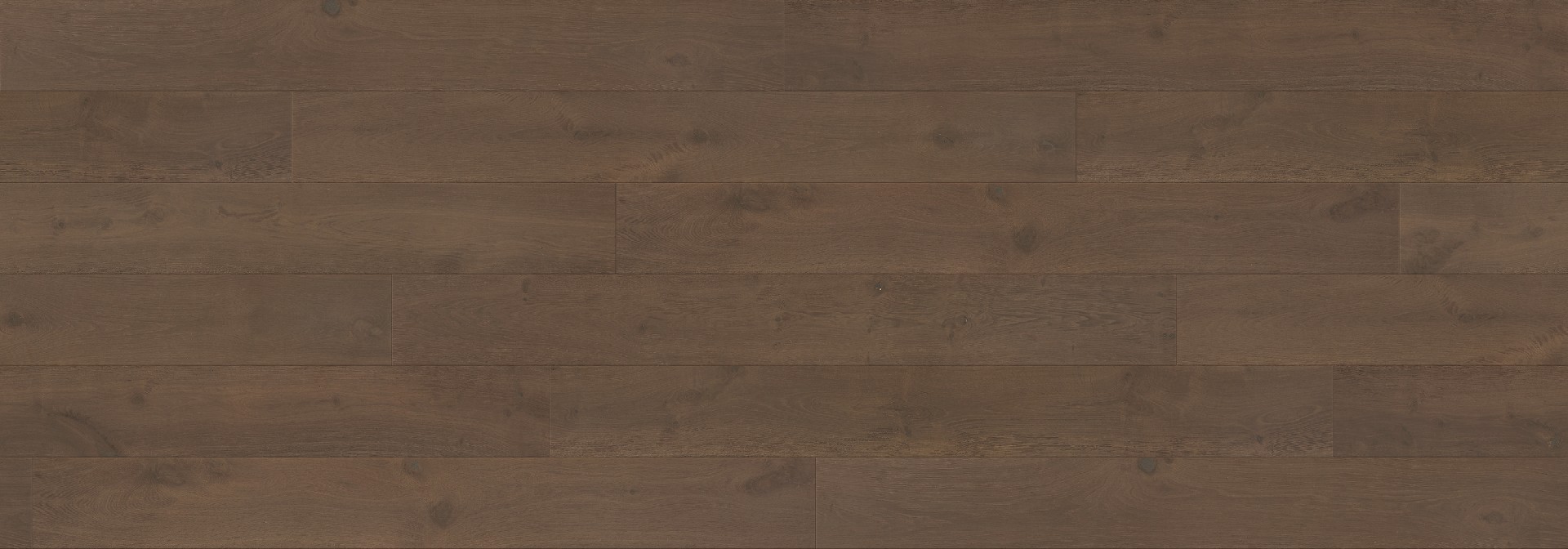 Compass Materials Constellation Monarch flooring
