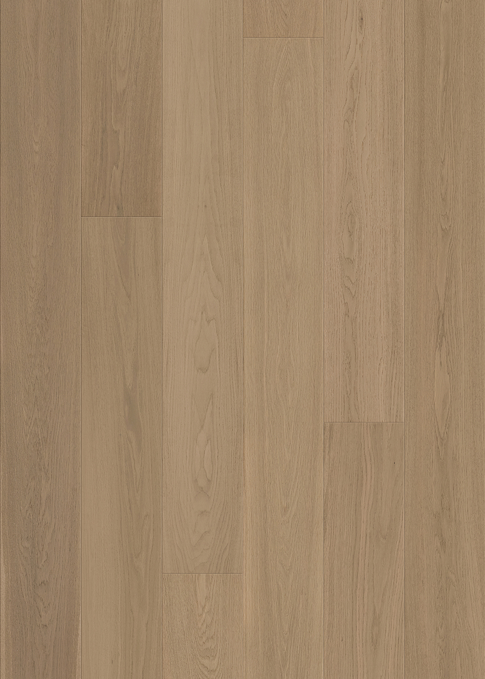 Compass Materials Galaxy Sonoma flooring