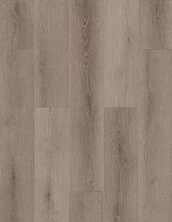 Lions Bambino Coffee Feather flooring