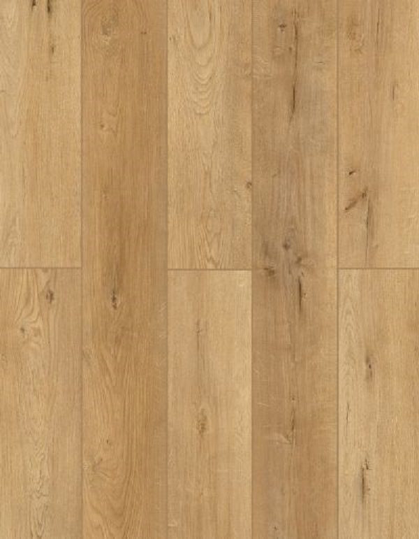 Lions Bambino Naples Parfum flooring