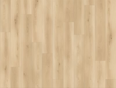 Lions Canyon Coast Wilderness Whispers flooring