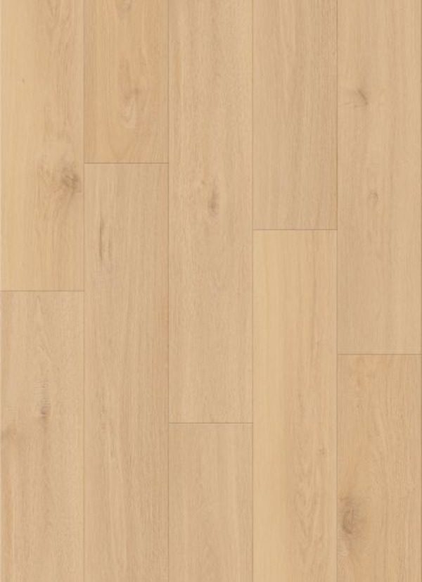 Lions District Max Naperville flooring