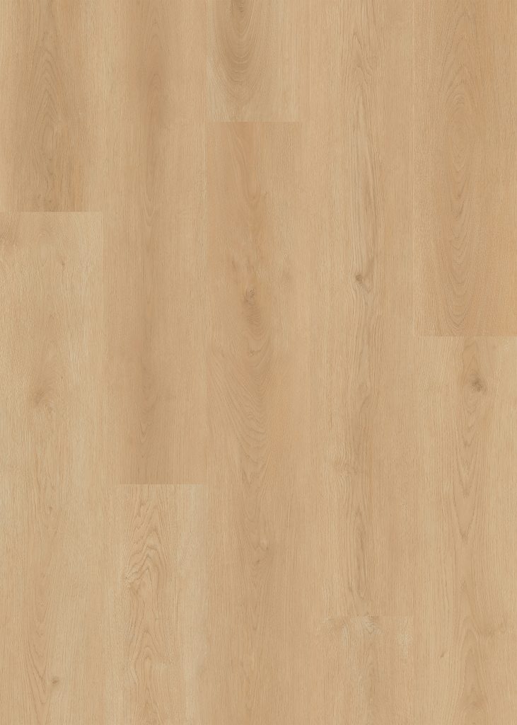 Lions District Pro Marquee flooring