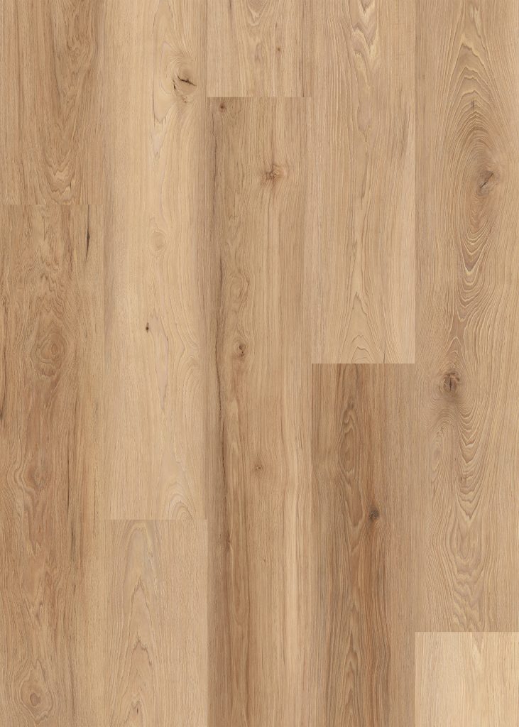 Lions District Pro Sun Valley flooring