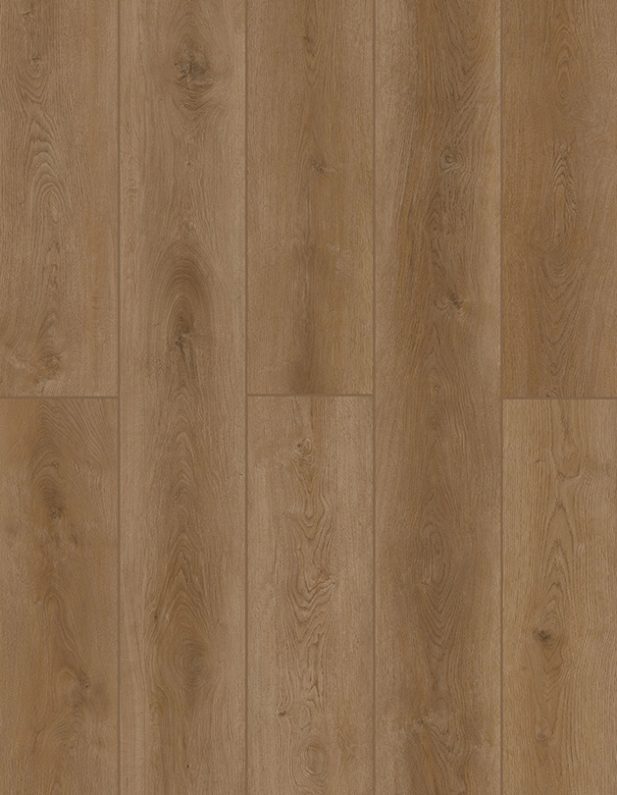Lions Indoor Delight Fortress Dawn flooring