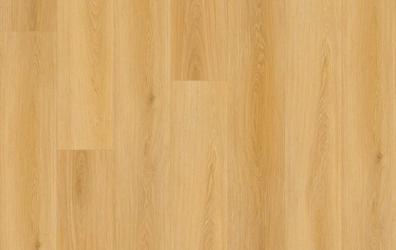 Lions Lions Reservation Endless Plains flooring