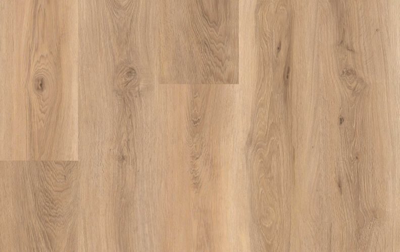 Lions Lions Reservation Suncrest Plateau flooring