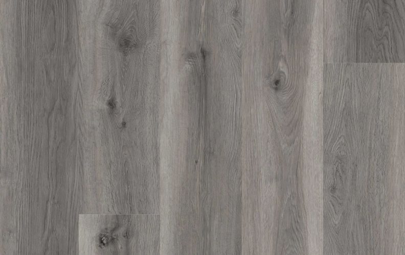 Lions Lions Reservation Migration Path flooring