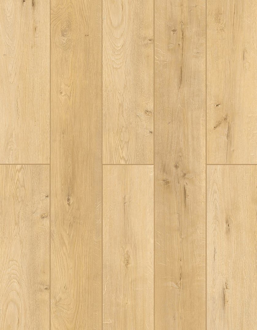 Lions Lone Star Spirit More Mesa flooring