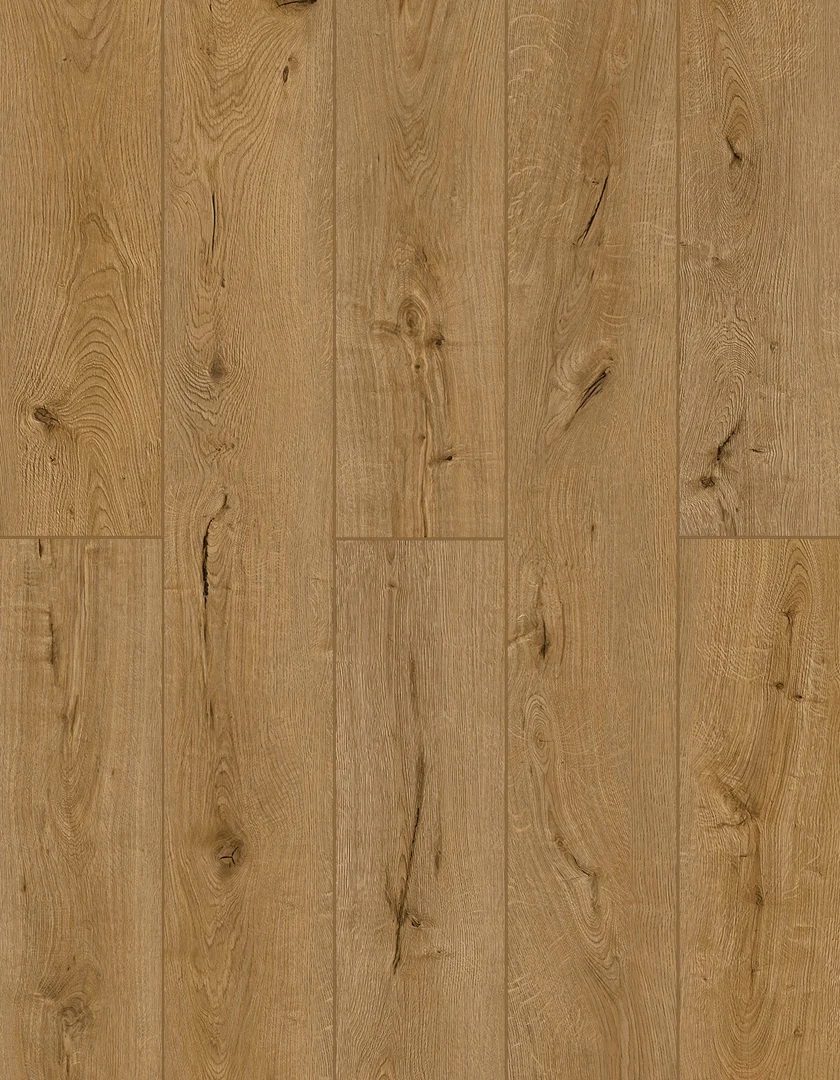 Lions Lone Star Spirit XL Oak Exortica flooring