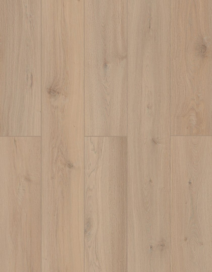 Lions Lone Star Spirit XL Sea Shell flooring