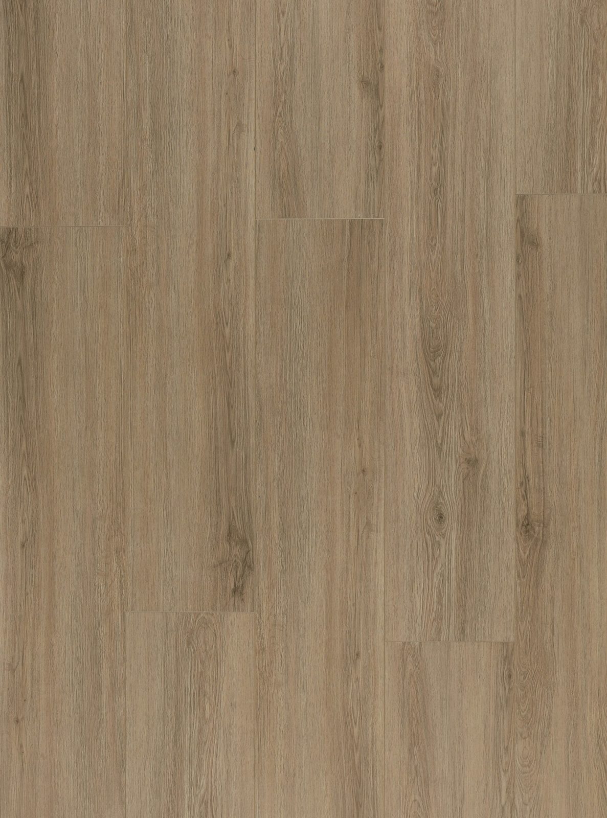 Lions Trenta Candela Amber flooring